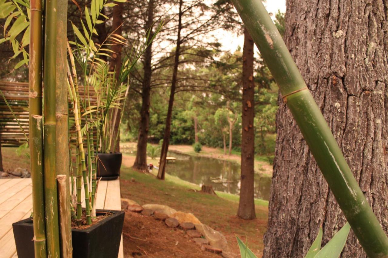 فندق Kerikeri Glamping المظهر الخارجي الصورة