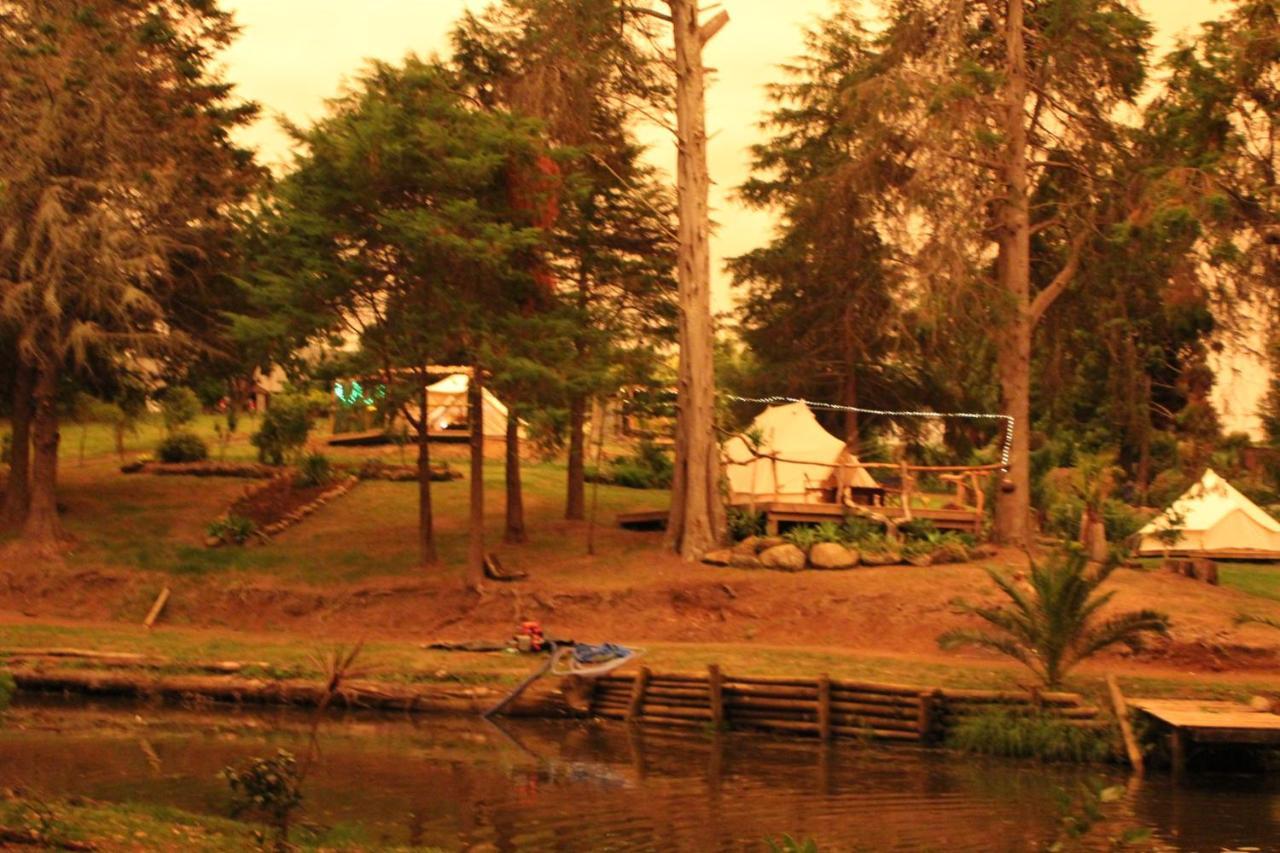 فندق Kerikeri Glamping المظهر الخارجي الصورة