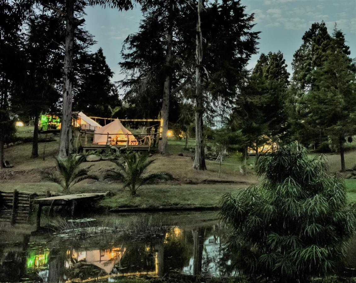 فندق Kerikeri Glamping المظهر الخارجي الصورة