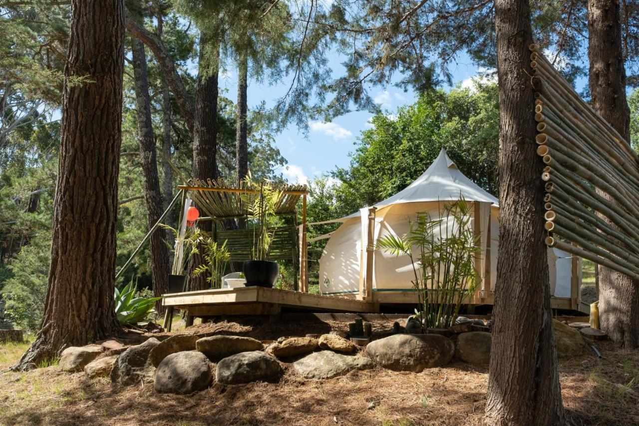 فندق Kerikeri Glamping المظهر الخارجي الصورة