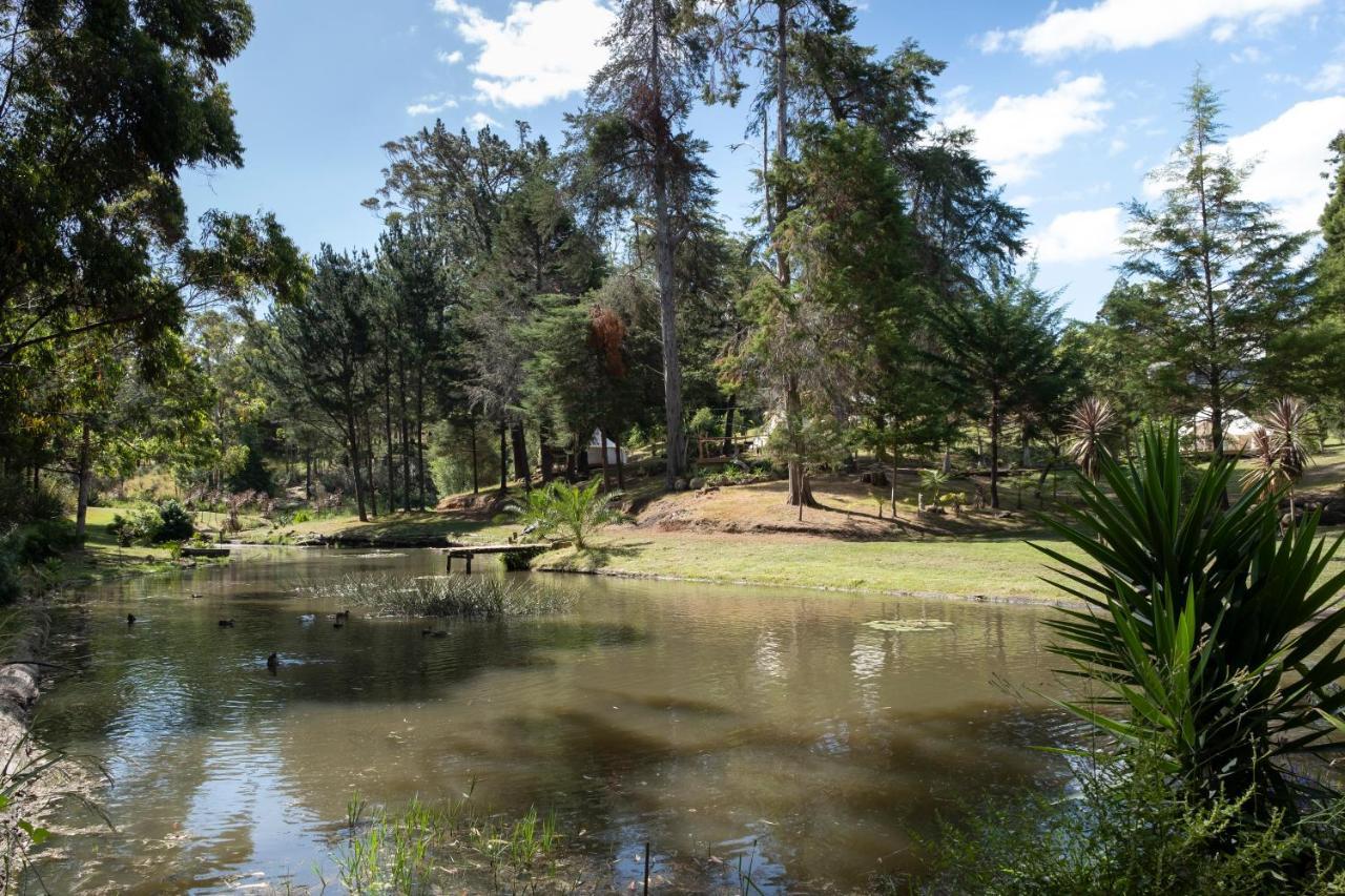 فندق Kerikeri Glamping المظهر الخارجي الصورة
