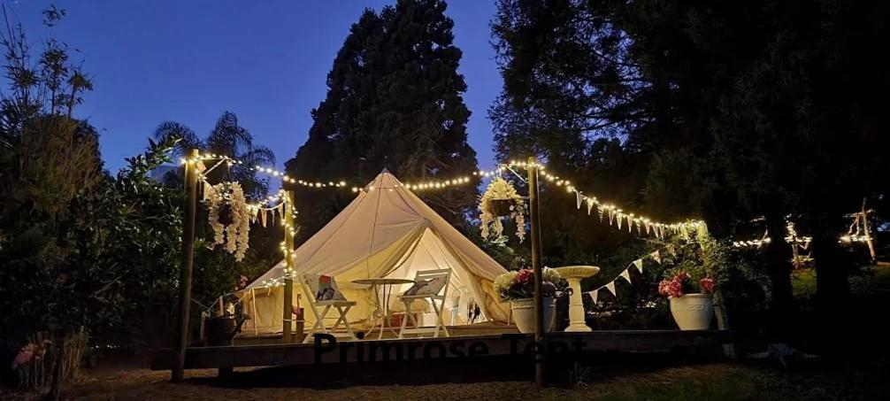 فندق Kerikeri Glamping المظهر الخارجي الصورة